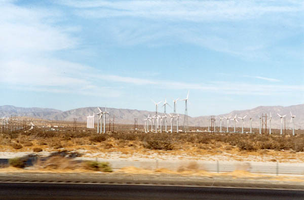 arizona21