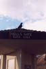 deathvalley03