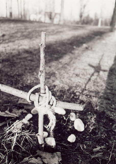 cross01