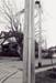 young_dorset01