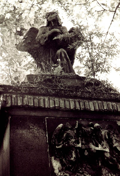 paris06