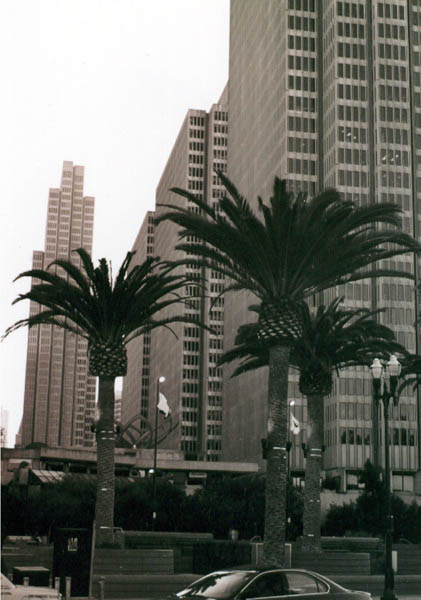 sf2_03